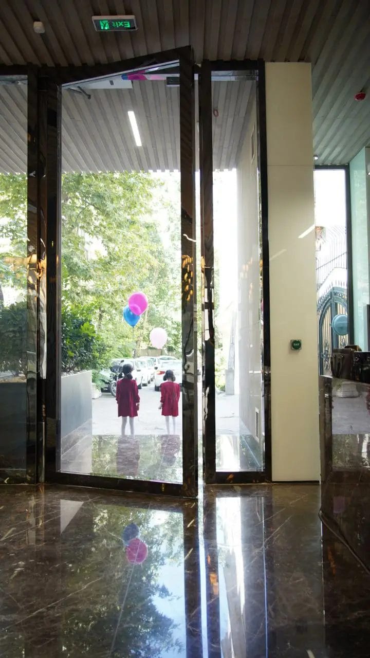 TS Pivoted Glass Doors